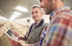 Novo MBA Global em Agroneg�cio conecta Brasil, Europa e �frica
