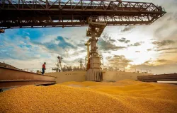 Exporta��es de milho do Brasil disparam em maio e volume j� supera em cinco vezes todo o embarque de 2025