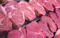 Exporta��es de carne bovina do Brasil disparam em maio e receita supera US$ 1,3 bilh�o