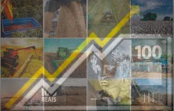 Economia brasileira volta a crescer em 2026, mas infla��o elevada e juros altos mant�m desafios para o agroneg�cio