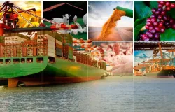 Agroneg�cio responde por mais de 50% das exporta��es do Brasil e refor�a protagonismo na economia nacional