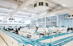 Salto de 26% na produtividade ap�s evolu��o tecnol�gica