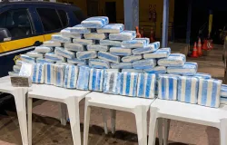 Opera��o integrada apreende 83 quilos de droga e causa preju�zo superior a R$ 1,2 milh�o �s fac��es criminosas