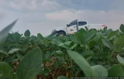 Vazio sanit�rio da soja j� est� em vig�ncia em Mato Grosso