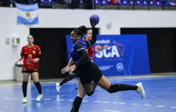 Pinheiros � vice-campe�o do Sul-Centro de Handebol Feminino