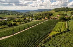 Vale dos Vinhedos � o destino do  vinho brasileiro mais premiado no 13� Brazil Wine Challenge
