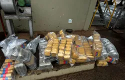Pol�cia Civil incinera 400 quilos de entorpecentes apreendidos na regi�o de Alto Gar�as