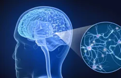 Esclerose m�ltipla: condi��o complexa para m�dicos e pacientes afeta milhares de pessoas no pa�s