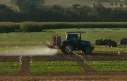 Funda��o Rio Verde divulga pesquisa sobre manejo e intervalo de seguran�a de herbicidas na soja