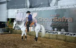 Leil�es, gen�tica e inova��o fazem do Show Safra Pecu�ria um polo de neg�cios