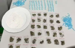 Pol�cia Civil prende jovem por tr�fico de drogas em Nobres