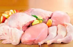 Carne de frango perde for�a no mercado interno com maior oferta, mas exporta��es sustentam setor em 2026