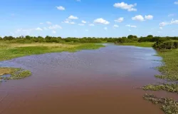 Minist�rio P�blico investiga se a usina causou seca no Pantanal