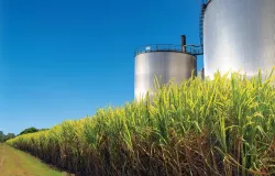 Pre�o do etanol para o produtor volta a subir com expectativa de aumento da demanda