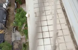 Mulher � investigada por deixar cachorro cair de janelas do apartamento