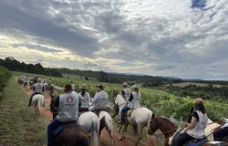 Rota da F�: Cavalgada com cavalo Mangalarga Marchador atrai turistas e crentes para Borda da Mata, MG