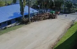 Beb� de 1 ano e meio sai sozinho de creche e caminha pelas ruas