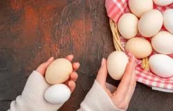 Consumo de ovos bate recorde no Brasil e ajuda a proteger o c�rebro