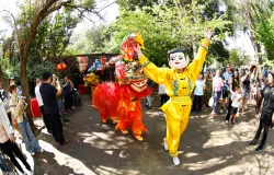 CHINA E BRASIL CAMINHAM JUNTOS: FESTIVAL CHONGYANG