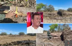 Cantor Amado Batista � multado em R$ 157 mil por derrubar mata nativa no Mato Grosso