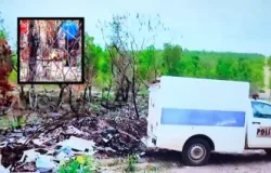 Dois homens s�o assassinados a tiros e jogados em mato em Cuiab�