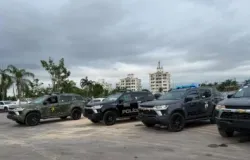 Mato Grosso compra 250 viaturas e dobra frota de seguran�a