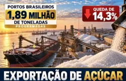 Exporta��o de a��car: portos t�m 1,89 milh�o de toneladas programadas, queda de 14,3%