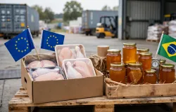 Uni�o Europeia deve liberar exporta��o de frango e mel do Brasil em outubro