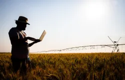 Tecnologia impulsiona o agroneg�cio de Mato Grosso no Dia da Inova��o