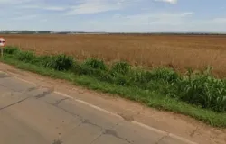 Justi�a vende fazenda de R$ 10 milh�es para cobrir d�vidas em Mato Grosso