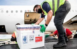 Mato Grosso recebe 140 mil doses de vacina contra a Covid-19 nesta ter�a-feira (18)