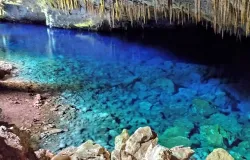 O Aqu�fero do Guarani e a Chapada dos Guimar�es