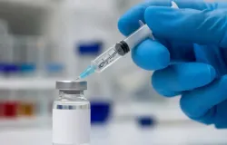 Anvisa aprova nova vacina contra chikungunya para adultos