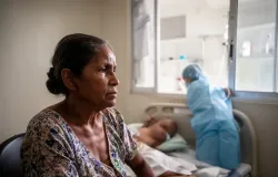 Brasil tem primeira morte por febre do Oropouche no mundo, confirma Minist�rio da Sa�de