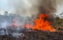 Inc�ndio de grandes propor��es atinge �rea de vegeta��o em Morrinhos do Sul