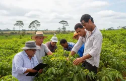 Governo anuncia programa de apoio a pequenos agricultores