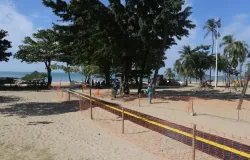 Apostas: Rampas especiais de areia para pessoas com defici�ncia chegam �s praias de Fortaleza este s�bado