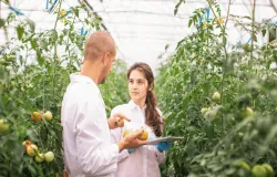 O que faz um Engenheiro Agr�nomo? Conhe�a 7 �reas de atua��o da profiss�o