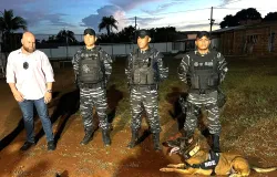 MT refora operao de buscas a fugitivos de presdio federal no RN com policiais penais e co farejador