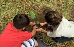 Memorial verde  plantado em So Paulo para lembrar pandemia no pas