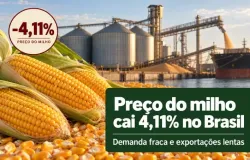 Pre�o do milho cai 4,11% no Brasil com demanda fraca e exporta��es lentas