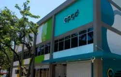 CPQD abre 40 vagas de est�gio em tecnologia e paga at� R$ 2,1 mil por m�s