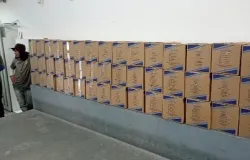 Torcida da Ponte Preta arrecada doa��es para alimentar funcion�rios em crise