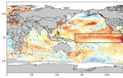 Alerta: Inpe prev� que El Ni�o ser� um dos mais fortes da hist�ria, com calor e chuvas extremas