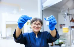 Unicamp cria creme com plantas brasileiras que alivia dores musculares por 6 horas