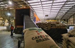 Exporta��o de Caf�s Diferenciados do Brasil Alcan�a 1,01 Milh�o de Sacas em Janeiro de 2025