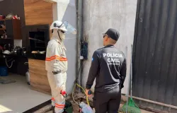 Pol�cia Civil realiza opera��o de combate a liga��es clandestinas de energia el�trica em C�ceres