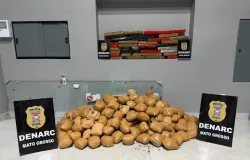 Pol�cia Civil apreende mais de 150 quilos de maconha em casa no bairro Jardim Uni�o