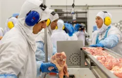 Brasil Acompanha Sobretaxa Da China Sobre Importa��es De Carne Bovina