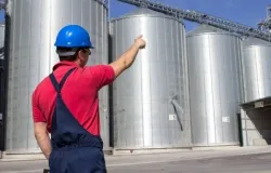 Agronegcio impulsiona mercado de trabalho e emprega 28,2 milhes de pessoas em 2024